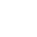 GOVERNMENTAL ORGANIZATIONS